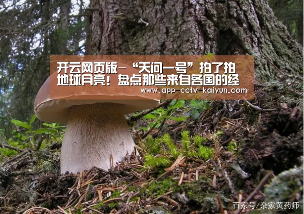 开云网页版