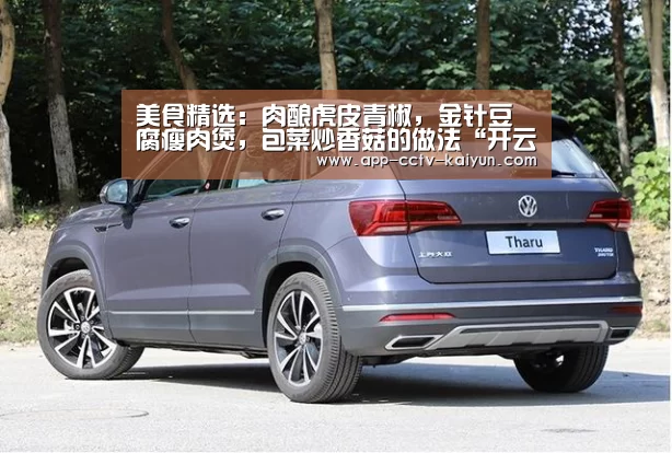 开云官方入口