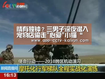 情有独钟?三男子深夜潜入宠物店偷走心爱小猫“开云网页版”(图2) 开云官网