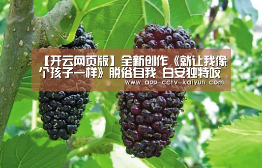 开云官网