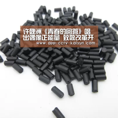 许魏洲《青春的回答》唱出偶像正能量 致敬改革开放40年_开云网页版(图2) 开云在线平台