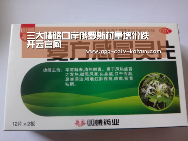 三大陆路口岸俄罗斯材量增价跌-开云官网(图3) 开云官网