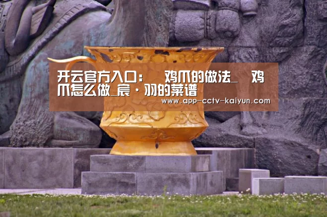 开云官方入口：焗鸡爪的做法_焗鸡爪怎么做_宸·羽的菜谱