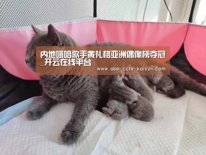 内地嘻哈歌手黄礼格亚洲偶像榜夺冠_开云在线平台